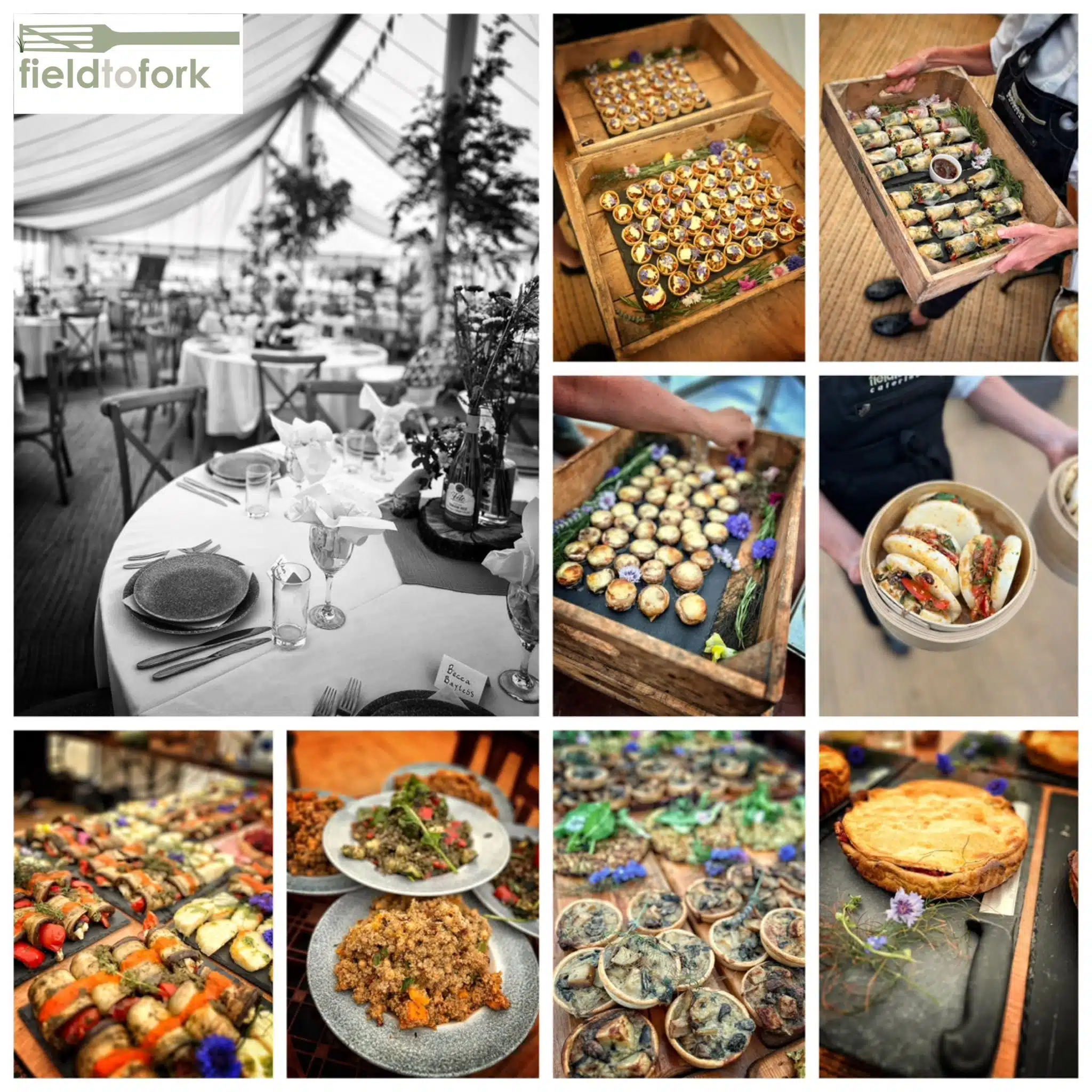 Organic Vegan Wedding with Shillingford Organics
