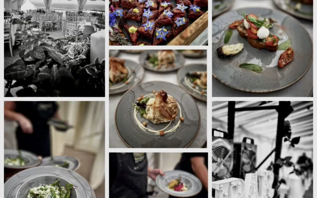 Vegan and Vegetarian Wedding Catering: South Hams, Devon